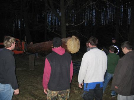 Die Suche nach einem geeigneten Baum