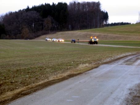 Die Suche nach einem geeigneten Baum